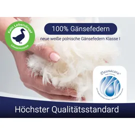 ZOLLNER KopfKissen 60 x 80 cm Weiß