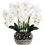 EIOLWJIEO Künstlicher Orchideen Bonsai mit Vase, realistische Phalaenopsis Kunstpflanzen, Orchideen Arrangements, Tischdekoration, Zuhause, Hellgelb weiß