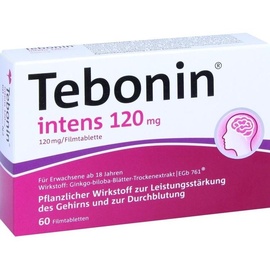 Dr.Willmar Schwabe GmbH & Co.KG Tebonin intens 120 mg Filmtabletten 60 St.