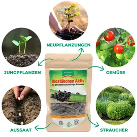 Silberkraft Biostäbchen Aktiv 50 g 1 St.