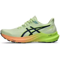 Asics GT-2000 12 Women (1012B506)