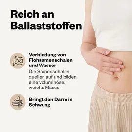 Avitale Indische Flohsamenschalen ganz 500 g