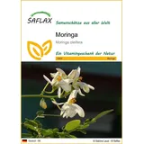 SAFLAX - Moringa - 10 Samen - Moringa oleifera
