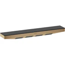 Hansgrohe Rainfinity BK 502x80mm, m Duschablage, brush. bron
