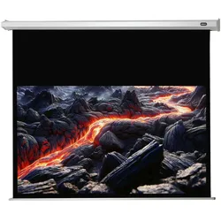 celexon Leinwand Motor Economy 300 x 169 cm