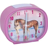 Die Spiegelburg Pferdefreunde bunt