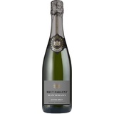 Brut Dargent - Sekt Blanc de blancs Extra Brut - Qualitativ hochwertiger Sekt aus Frankreich, Methode traditionnelle (1 x 0.75 L)