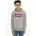 Hoodie Grey 152
