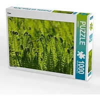 Calvendo Puzzle Farn 1000 Teile Puzzle quer | 1000