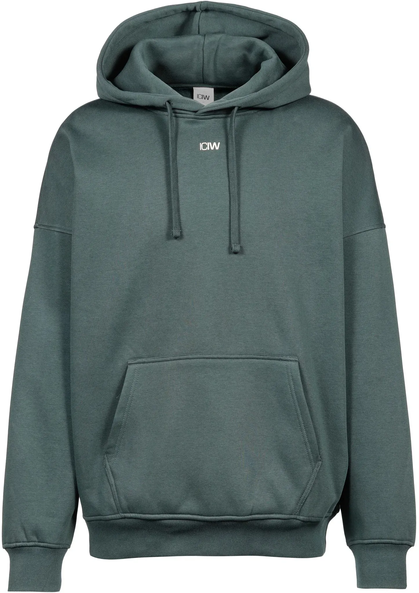 ICANIWILL Everyday Hoodie Herren in wet green, Größe M - grün