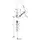 Hansgrohe Focus M41 Einhebelmischer Edelstahl