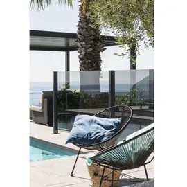 BM Massivholz Zaun Hauptelement Vidrio 120 x 180 cm Grau/Glas