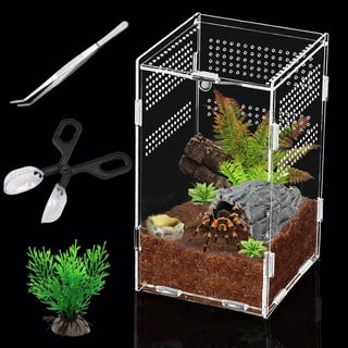 Schnecken Terrarium, Acryl, Reptilien-Zuchtbox, transparent, für Lebensraum mit Fütterungswerkzeugen, für Spinnen, Eidechsen, Skorpion, Käfer, Crickets, Mantis, Geckos