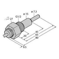 Turck Eintauchsensor FCS-G1/2A 6870339