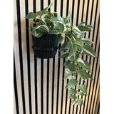 Akustikpaneel Pflanzenring V2, Groß, Schwarz, Bohrfreie Montage, 2 Stück, 12,8 cm