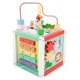 Fisher-Price - Holz-Aktivitätswürfel 5in1