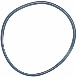 UNGER Dichtungsring Vorfiltergehäuse 2,5"