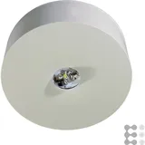 rp-group RP-Technik LED-Sicherheitsleuchte ILDL423SC