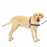 PetSafe Easy Walk L, Schwarz