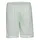 Karl Kani KM232-005-1 KK Retro Pinstripes Mesh Short - Grün