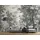 Living Walls Fototapete LIVING WALLS "Walls by Patel Fancy Forest", grau (grau1), B:4m L:2,7m, Vlies, Tapeten, Vlies, Wand