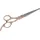 Kerbl MagicBrush Grooming-Schere Hund, Golden