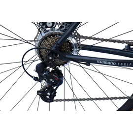 WYNN Gravelbike GRL3.0 28 Zoll RH 54 cm Unisex grau