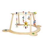 Hess Spielzeug Hess Babyspiel-U. Lauflerngerät Mehrfarbig