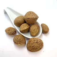 0.5kg Mandeln in der Schale (Süßmandeln)
