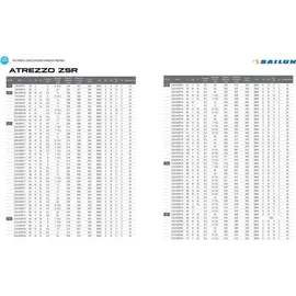SAILUN Atrezzo ZSR RFT 225/45RF17 91Y