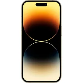 Apple iPhone 14 Pro Max 1 TB gold