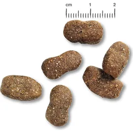 Belcando Junior GF Poultry 1 kg