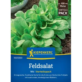 Kiepenkerl Feldsalat Vit