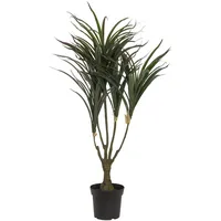 Europalms Dracena, grün-rot, 90cm