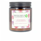 Airwick Air Wick Botanica Island Rose & African Geranium Duftkerze mit Rosenduft 205 g