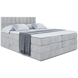 altdecor Boxspringbett MIAMI KING - 160x200 - H3/H4 - Hellgrau