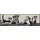 SALONLOEWE Serafino & Friends 35 x 120 cm Beige