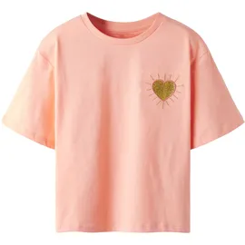 NAME IT T-Shirt NAME IT "NKFBEATRICE SS NREG SH TOP BOX PS NOOS", Mädchen, Gr. 158/164, desert flower, Jersey, Obermaterial: 100% Baumwolle, bestickt, unifarben, taillenbedeckt, Rundhals, Shirts T-Shirt