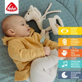 Fehn Mini-Spieluhr Pferd