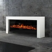 muenkel design bridge [moderner Optiflame Design Elektrokamin]: Wunschfarbe nach RAL - 2100 mm