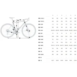 Orbea Terra H40 Blau Modell 2025