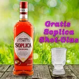 (EUR 19,98/L) Soplica Glas & Soplica Quitten Likör Pigwowa 28%vol. 500ml 1 Glas