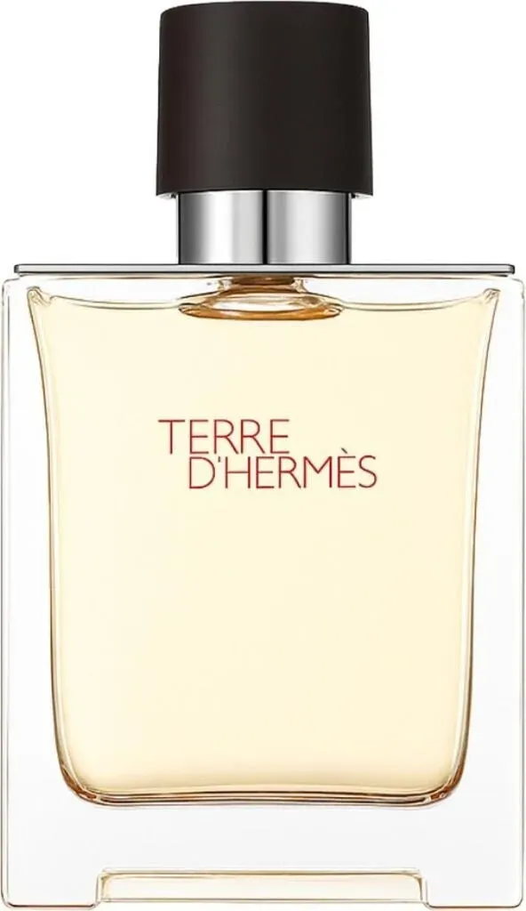 Hermès Terre d'Hermès Eau de Toilette 100 ml – Eleganter Herrenduft mit Zitrus & Holznoten
