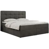 MKS Boxbett, ERNI 160/200 - Dunkelgrau Velvet ... H4