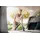 Kärcher 2.863-221.0 Saugpinselset WD 1 Compact Battery WD 1 Compact Battery Set WD 2