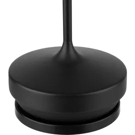 APS Nissrin Schwarz