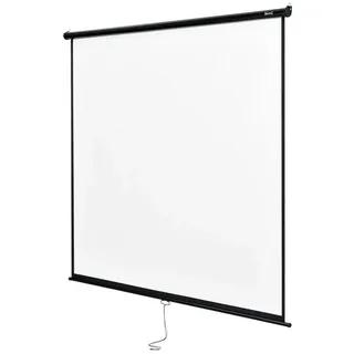 in.tec Rolloleinwand (Projektionsleinwand 4K 3D, Bildschirmdiagonale 113 Zoll / 287cm) schwarz|weiß