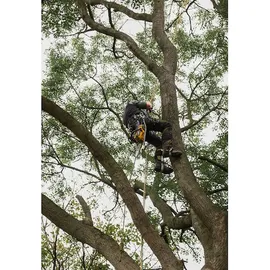 DeWalt DCMCST632N-XJ / 30 cm
