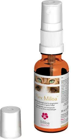 Miloa Flex Miloa Massageöl Flakon Mit Zerstäuber 30ml