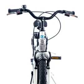 Rezzak 20 Zoll RH 33 cm weiß/blau